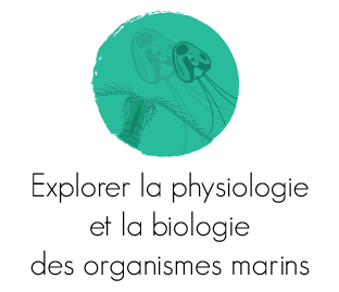 Explorer la physiologie et la biologie des organismes marins