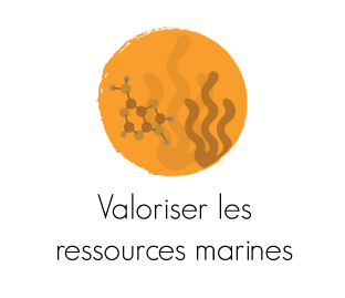 Valoriser les ressources marines